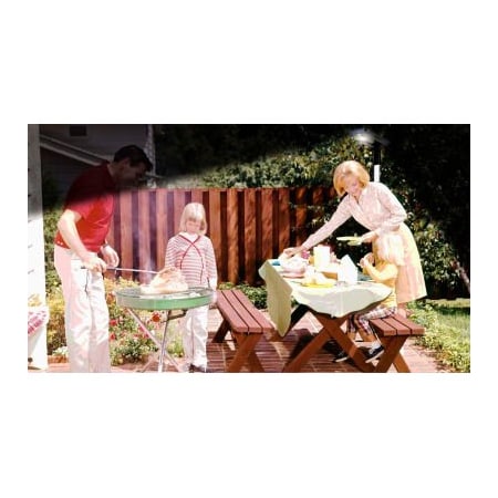 E E Systems Group eLEDing Solar 10W 1600 LM AI SMART CREE 3000K LED Street Parking Lot Area Light EE810W-AI10-W